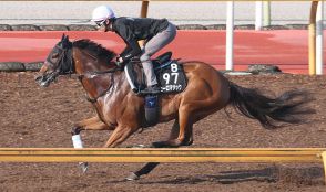 【セントウルS】ピューロマジック　連勝の勢い継続、安田師「ケアとトレーニングでレースに臨めます」