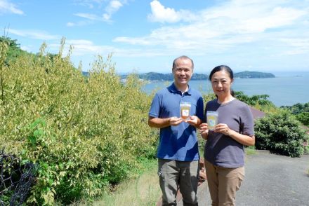 熱海・泉の農園が「梅ゼリー」　引き継いだ農地で初収穫したウメ使う