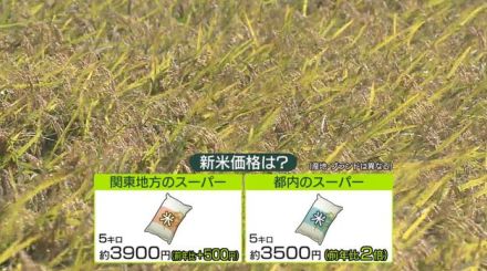 新米出荷が本格化も…価格は高騰　品薄解消へ今後の見通しは？