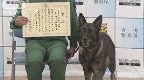 警視庁の警備犬　行方不明の女性を発見し表彰