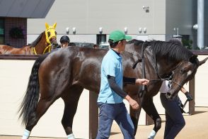 【珍事】３歳未勝利戦の最終日に１着同着　思い出される２０１０年オークスの記憶