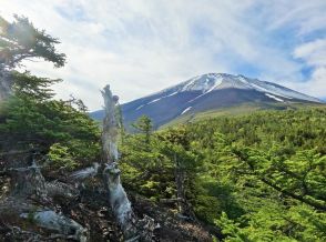 富士下山のすすめ！富士山の知られざる魅力に出合う自然旅行へ