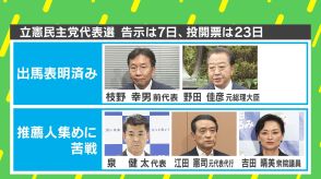 なぜ自民の支持率が下がった分、立憲民主が上がらないのか？…ヒントは“石丸現象”？ 代表選迫る立憲民主に欠けている“視点”とは