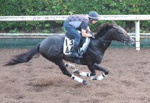 【京成杯AH】ディオ力強く登坂　辻野師は重賞初制覇を期待