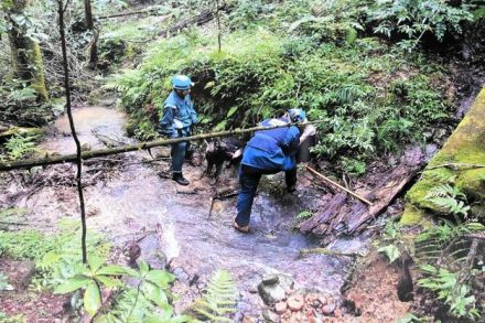 山中で座り込む行方不明の女性…警備犬が発見「20年ぶりの功績」