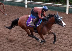 ママコチャ一気に３馬身引き離す　３月以来の実戦へ「何とか間に合った」池江師／セントウルＳ