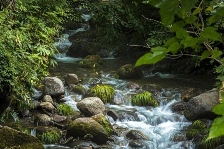 夏と秋の狭間で揺れ動く季節! 「薮濃き “ボサ川” で狙うイワナ」【渓流釣り】