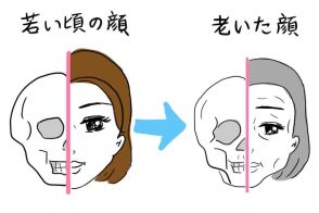 【40代・50代が知っておきたい美容の疑問】顔のたるみの隠れた重大原因「顔面の骨やせ」とは？