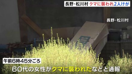 60代と80代の女性が相次ぎクマに襲われる　顔などに大けが　長野・松川村