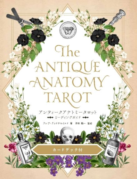 タロットの歴史や基礎がわかる　初心者に優しいガイドブック　78枚の美しいカードデック含む豪華パッケージ
