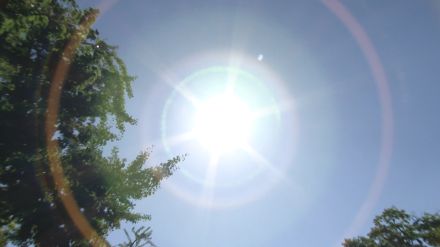 福岡・太宰府市でまた”気温35℃以上”今年47日目の猛暑日　年間の猛暑日数で全国最多記録を更新