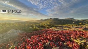 【綺麗】夏の名残のなか…紅葉きたー！「日本一早い紅葉」北海道・大雪山系黒岳で秋の気配到来