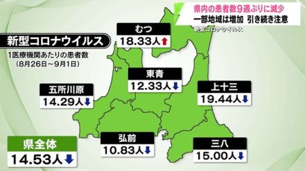 青森県内の新型コロナウイルス患者数　9週ぶりに減少　むつ保健所管内は増加