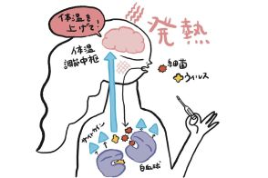 【40代、50代・薬と上手に付き合う方法⑤】その薬は本当に必要？ 効く風邪薬は存在しない!?