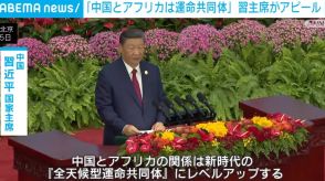 習主席「中国とアフリカは運命共同体だ」 貿易や農業など10分野で協力へ