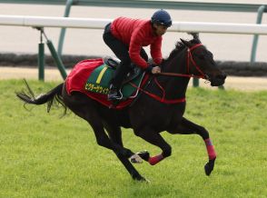 スプリンターズＳ、ムゲンとビクターザウィナーの香港２頭が出走決定