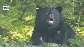 「顔からかなりの出血」クマが女性2人を相次いで襲う　いずれも重傷　用水路でバシャバシャしているクマを発見、駆除