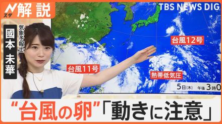 台風が続々と発生、予報士「台風11号と熱帯低気圧の間にある雲が、非常に怪しい動きをしそう」【Nスタ解説】