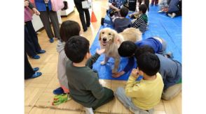 昔はどこの小学校にもいたウサギやニワトリはなぜ消えたのか？