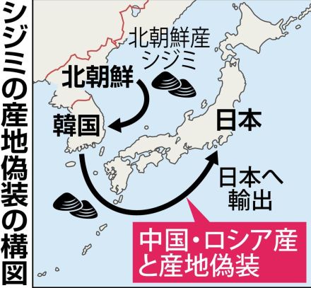 北朝鮮シジミの産地偽装　韓国業者がネットワーク構築か　専門家指摘