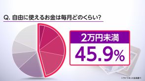 自由に使えるお金「2万円未満」半数　20～30代男女に調査