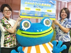 ANA提携で記念キャンペーン　沖縄電力の会員サイト　抽選で3000円商品券など三つの特典　11月30日まで