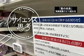 「コメ不足」は終わるのか。リンゴにミカンも…気候変動時代の「食料不足」、専門家に聞く乗り越え方