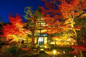 枯山水庭園の夜の紅葉を楽しむ　京都嵐山・鹿王院で夜の特別拝観