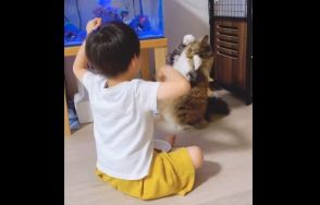 動きを「完コピ」?5歳猫が3歳息子と同じポーズで息ぴったり…どれくらい練習したのか母親に聞いた