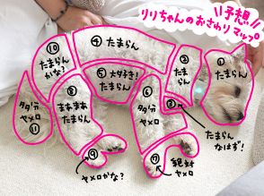 愛犬の“おさわりマップ”を「イヌパシー」を使って作ってみたら…予想と違っていた場所は？ 感情のディテールがよりクッキリ！