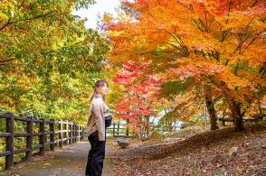 紅葉の見ごろ予想2024、全国的に平年並み、9月中旬の「大雪山旭岳」からシーズン開始、「京都・嵐山」は11月23日頃