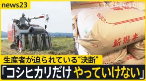 コメの品薄いつまで?不足する原因の一つが猛暑と水不足による品質低下… 新潟県のコシヒカリ生産者が迫られている“決断”【news23】