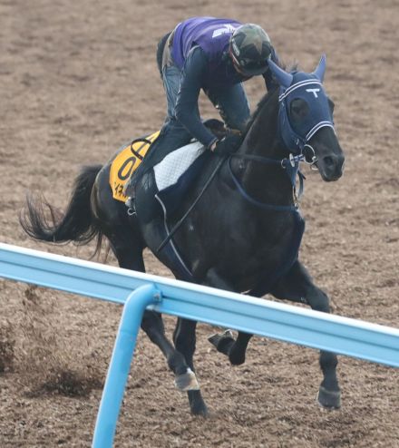 マイネルファンロンの競走馬登録を抹消　通算成績は48戦5勝、獲得賞金は2億177万5000円