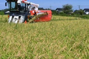 コメ品薄の要因分析へ　農水相「来年の適正生産量につなげる」