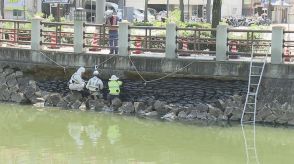 松山市南堀端の石積み崩落 専門家が他の箇所でも損壊の危険性を指摘