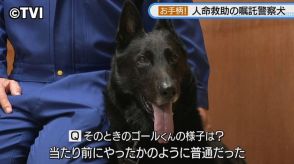 【お手柄！人命救助の警察犬】訓練を取材！　「信頼関係が大切」