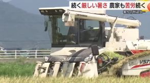 「30℃を切ってほしい…」農家の思いとは裏腹に35℃超の猛暑続く予想　稲刈りシーズンも一苦労（島根）