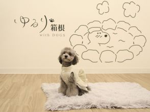 箱根・強羅に “愛犬と泊まれる温泉旅館” 「ゆるり箱根 with DOGS」 がオープン