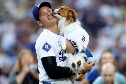 大谷翔平の愛犬デコピンが「可愛さのグランドスラム」MLB公式Xに“異例”のトップ固定で「夢のよう」「いい子だね！」