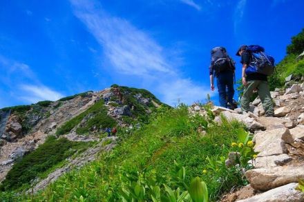 「低い山でも事故は多い」秋のレジャーに潜む事故！遭難のプロに聞く、クマだけじゃない危機