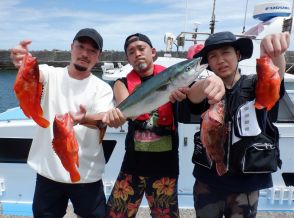 【いろんな魚が釣れるぞ！】SLJが熱い！根魚、マダイ、ヒラマサ、ワラサ！千葉県勝浦川津港『不動丸』