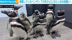 東京へ避難のペンギンたち、7カ月ぶりに故郷・能登へ帰宅 担当者「正直さみしいが皆さんにも会いに行ってほしい」