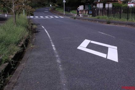 「このマーク何だっけ?」道路にペイントされた“ダイヤマーク”が見えたら、まず前方に注意!