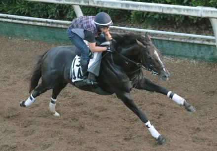 【京成杯AH】サマーマイルシリーズ組が優勢　馬券圏内が濃厚な2頭に注目！