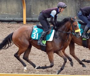 【中京３Ｒ・２歳未勝利】モルティフレーバーが２戦目で初勝利　坂井瑠星騎手「いい内容だったと思います」