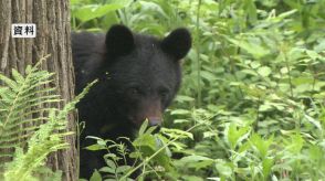 また出た！　クマの目撃相次ぐ　県内では一日に3人が襲われる人身被害も　週明けに「警報」発出も検討