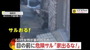 「玄関に座っとるけん、出るな!」サルが住宅街に出現…60代女性襲われけが　鉢合わせしたら一大事…警察は対応急ぐ　福岡市