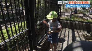 子どもたちが飼育員に!クマのおりにも“潜入”し動物園の裏側を体験　わんぱーくこうちアニマルランドでサマースクール