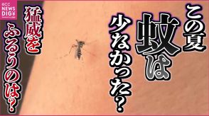 “やや”汗っかきの人は刺されやすい　日焼けした人も　蚊に注意するのはこれから　専門家に聞く刺されにくい服装や対策