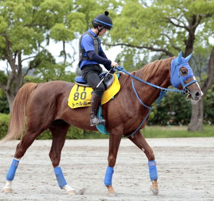 ２１年の阪神ＪＳなど障害重賞２勝のトゥルボーが競走馬登録抹消　今後は大山ヒルズで乗馬に